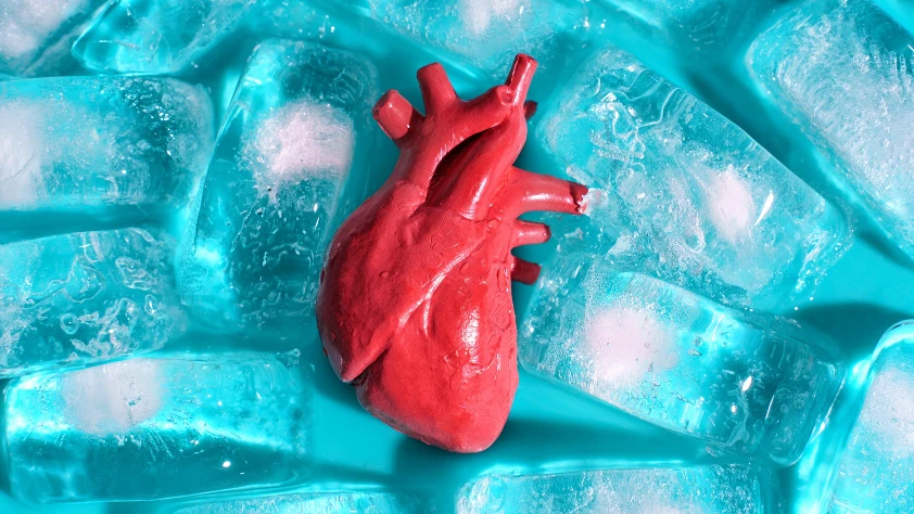 Organ naklinde 'buz' engeli aşılıyor: Çatlamayı önleyen yeni teknik