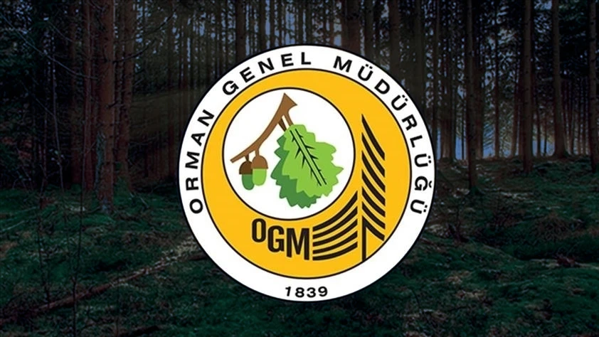 ORMAN GENEL MÜDÜRLÜĞÜ PERSONEL ALIMI SON DAKİKA: 496 sözleşmeli personel alınacak! Başvurular yarın başlıyor