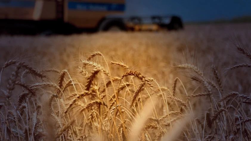 Ortadoğu'dan savaşın uzayacağı endişesi tarımsal emtiayı vurdu