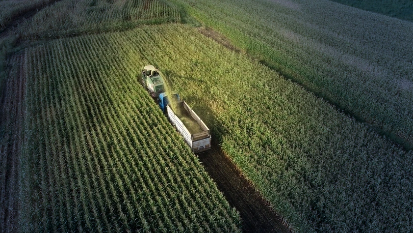 OTB'lerde üretim artıyor: 3 yılda 6 katına çıktı