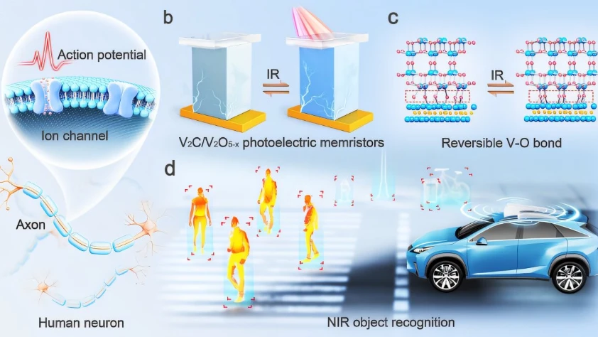 Otonom sistemler için kızılötesi algılayıcı: Yapay nöron ile yüksek hassasiyet
