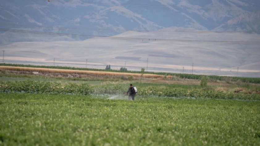 Pasinler Ovası'na 'can suyu': Lisanslı depo bir yıl içinde kuruluyor