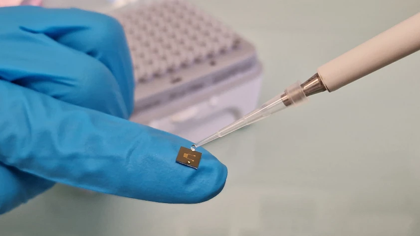 Pil teknolojilerinin geleceği: Genetiği değiştirilmiş iletken proteinler