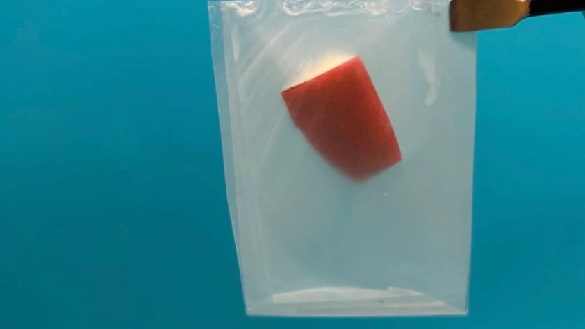 Plastik kadar dayanıklı doğada çözünen yeni nesil biyoplastik