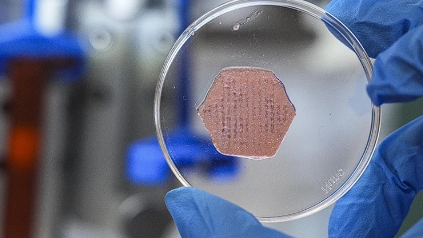 Probiyotik içeren yeni nesil yara örtüsü geliştirildi