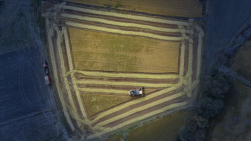 Resmi Gazete'de yayımlandı: Tarımsal kredilerde yeni düzenleme Resmi Gazete'de yayımlandı: Tarımsal kredilerde yeni düzenleme
