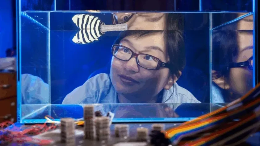 Robotikte 'lego' devrimi: Sertliği programlanabilen akıllı bloklar