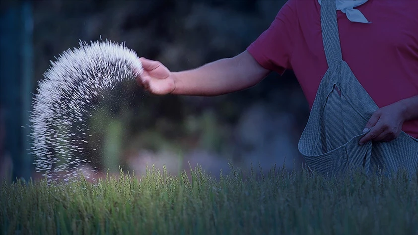 Rusya'dan gübre kararı: İhracat kısıtlamasını yıl sonuna uzattı