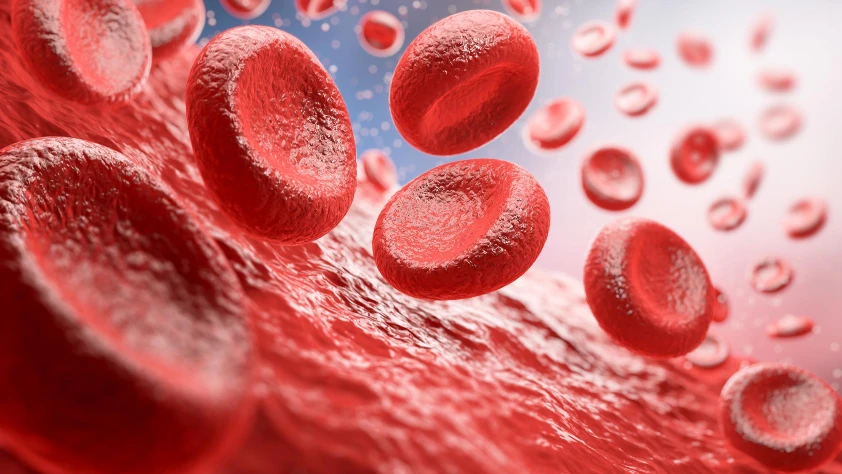 Sağlık teknolojilerinde devrimsel buluş: Kan kök hücreleri gençleştiriliyor