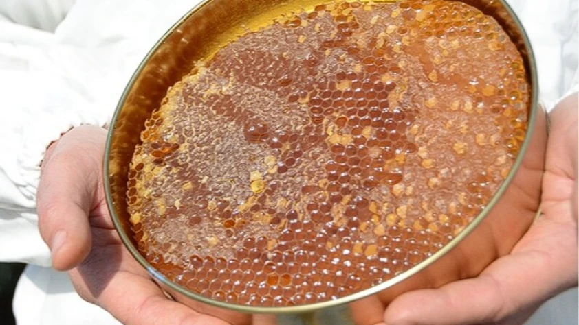 Sahte bala karşı yeni önlem: Temel petek denetimi geliyor