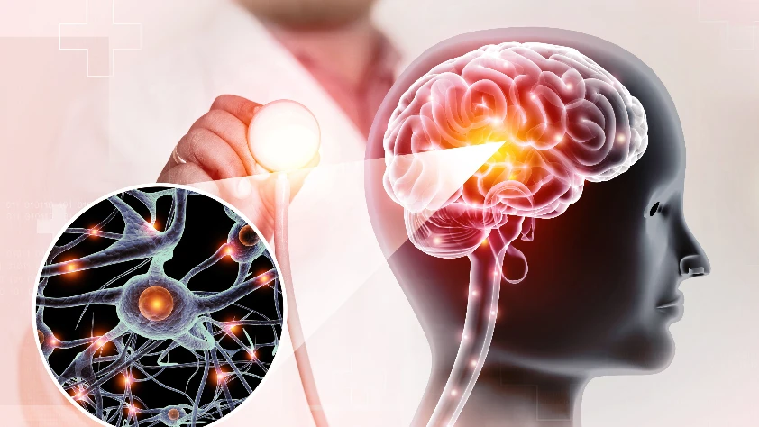 Sentetik insan beyni dokusu üretildi