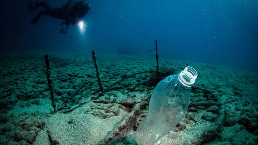 Sıfır Atık Mavi Hareketi büyüyor: Denizlerden 325 bin ton atık çıkarıldı