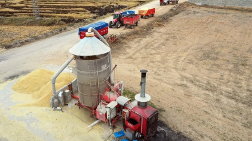 Sinop'a dev yatırım! Çeltik kurutma tesisi kuruluyor