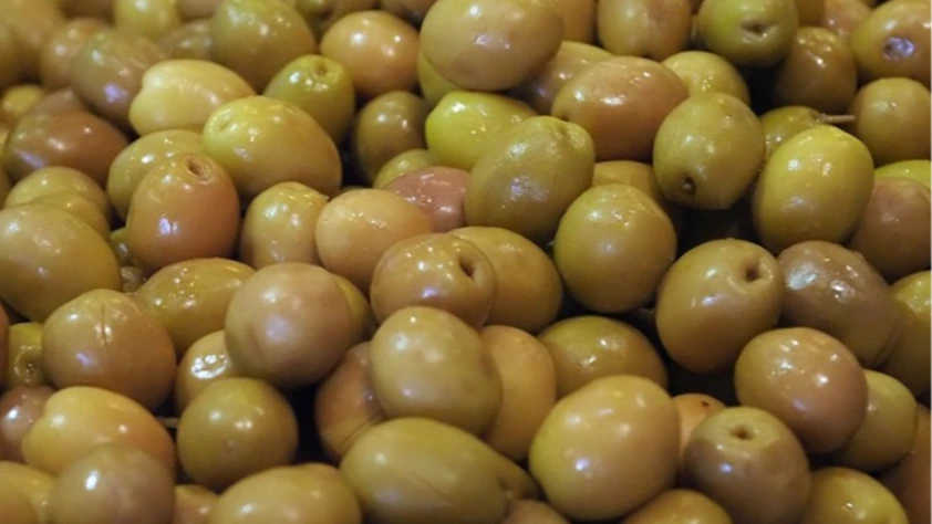 Sofralık zeytin ihracatında Cumhuriyet rekoru: 255 milyon dolara ulaşıldı