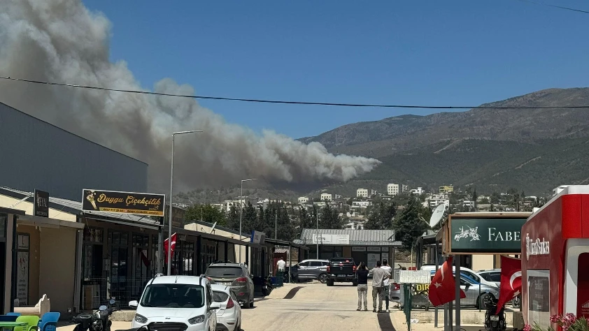 Son dakika: Hatay'da ormanlık alanda yangın çıktı