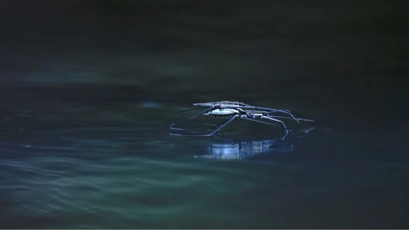 Suda yürüyen mikro-robotlar: HydroSpread ile robotikte yeni çağ