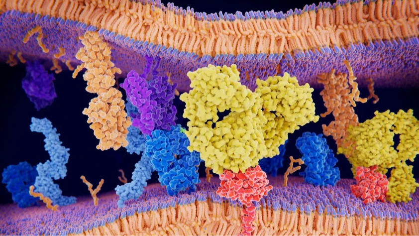 Süper bilgisayar, proteinlerin gizli dilini çözdü Süper bilgisayar, proteinlerin gizli dilini çözdü