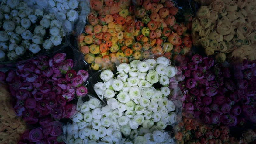 Süs bitkileri ihracatı yüzde 14 arttı: 83 ülkeye gönderildi