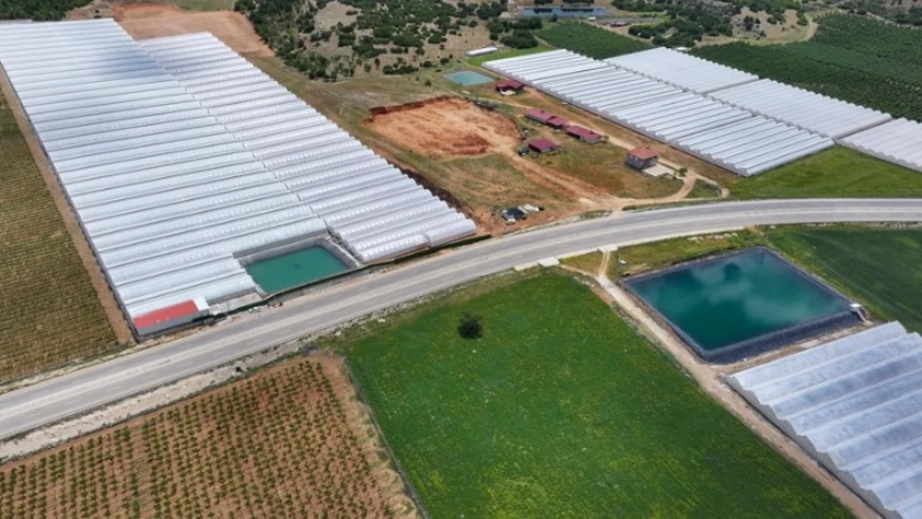 Susuzluğa çare sunuldu! Kentlerde yağmur hasadı
