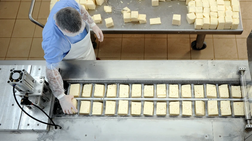 Süt sektörü sanayi odaklı üretimle büyüyecek