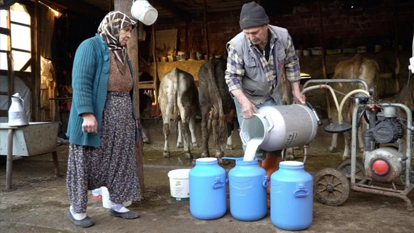 Süt sektöründeki 39 teşebbüse soruşturma