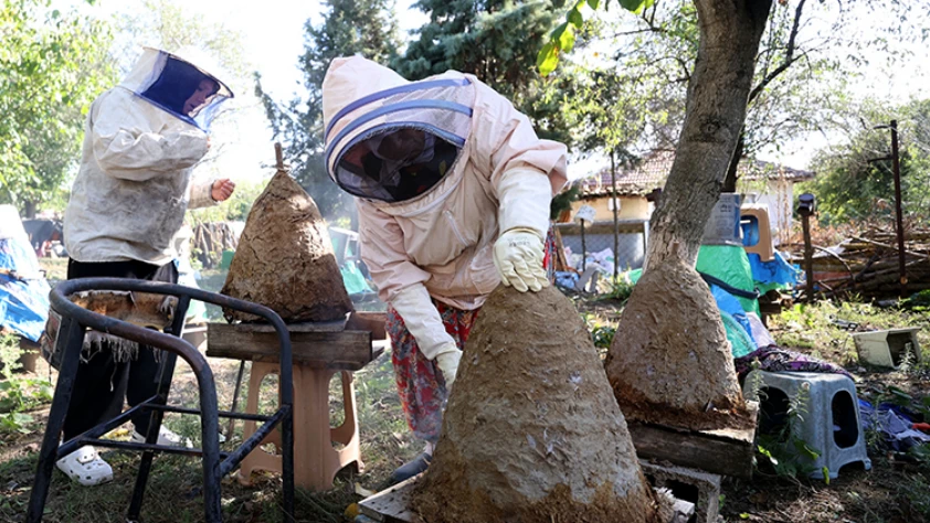 Talebe yetişemiyor: Kilosu 1750 liradan satışa sunuluyor