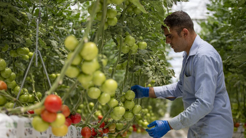Tarım gençleşerek büyüyecek