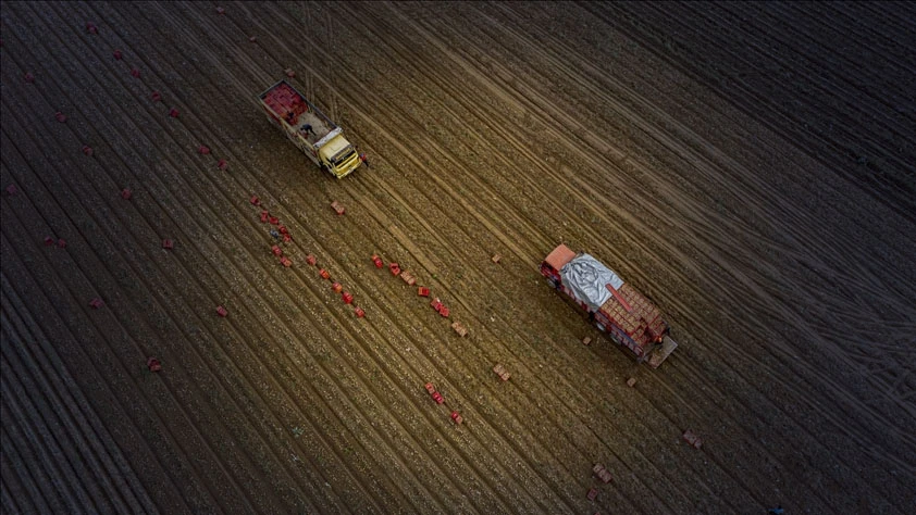 Tarım sezonuna kurak başlangıç: Yağışlar yüzde 19 azaldı