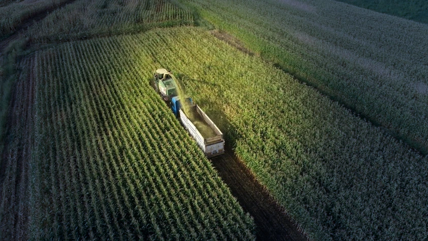 Tarım sigortaları kapsamında üreticilere 4,2 milyar lira hasar tazminatı ödendi