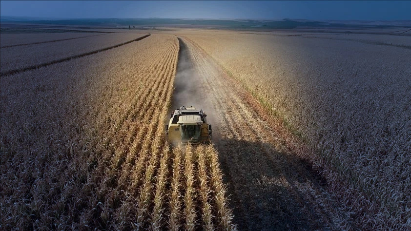 Tarım ÜFE kasımda aylık bazda düştü: Yüzde 1,56 geriledi