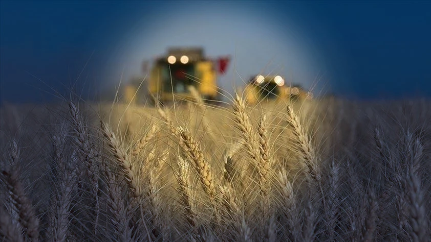 Tarım ÜFE'de yükseliş sürüyor: Ekimde yüzde 4 arttı