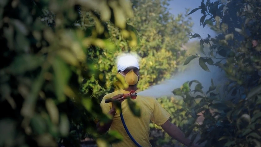 Tarımda 'B-Reçete' dönemi başlıyor: İşte bilmeniz gerekenler