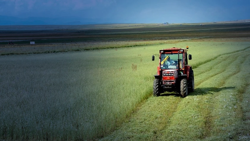 Tarımda maliyet artışı: Tarımsal girdi fiyat endeksi yıllık yüzde 31,55 yükseldi
