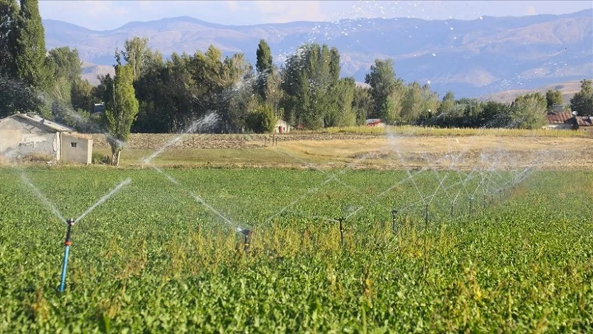 Tarımsal girdi fiyat endeksi sakin patikaya girdi