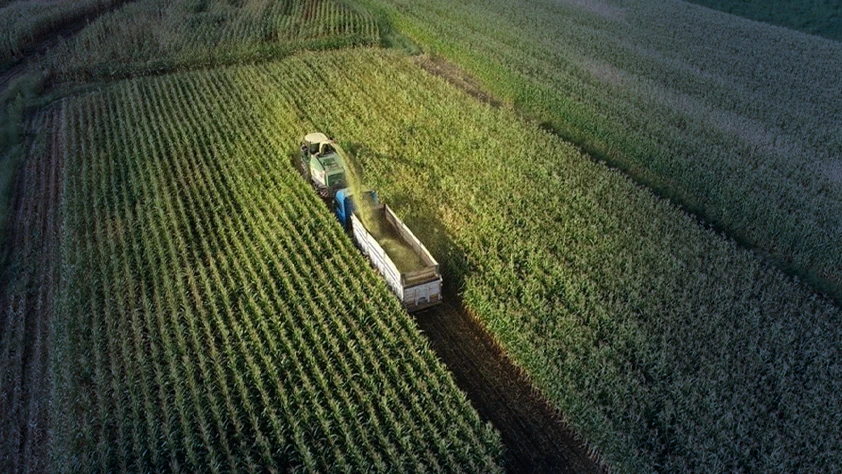 Tarımsal girdi maliyetleri: Ocak ayında yüzde 3,86 artış