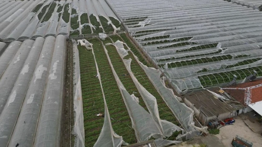 TARSİM selden etkilenen üreticilere destek ödemesi yapacak