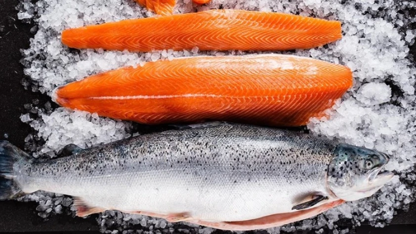 Tek bir ilden 67 ülkeye Türk somonu ihraç edildi!