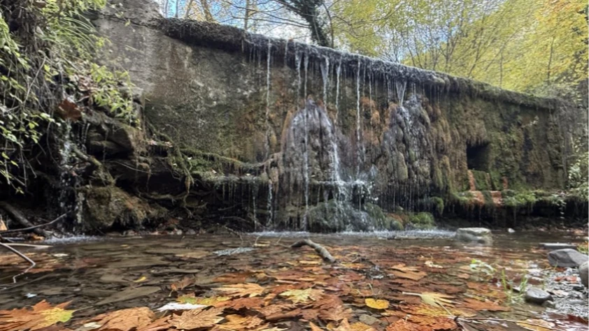 Tekirdağ'da sonbahar renklerine bürünen ormanlar doğa tutkunlarını bekliyor