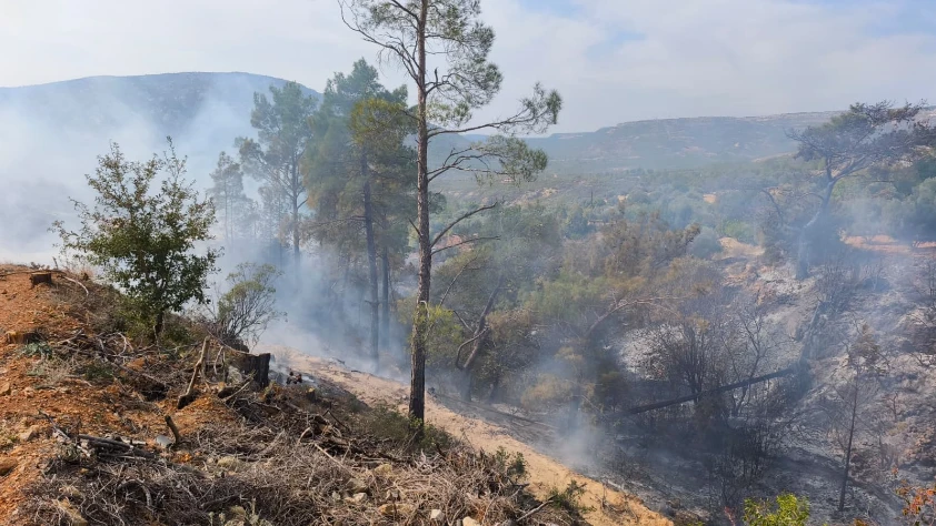 Temizlik için ateş yaktılar! Sonu kötü bitti