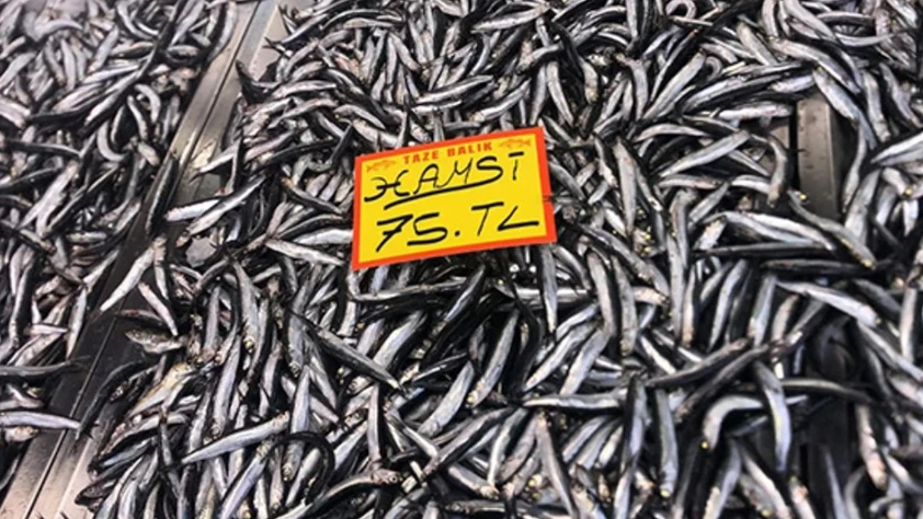 Tezgahlarda hamsi bereketi: 75 TL'ye düştü