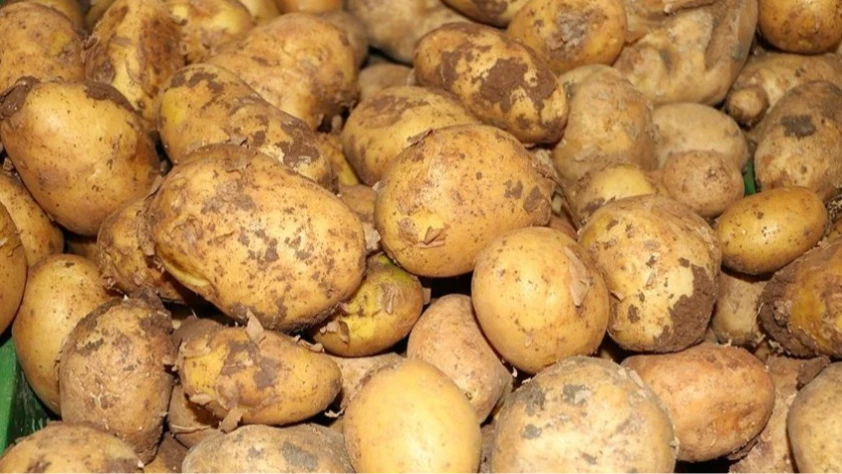 Ticaret Bakanlığı'ndan patates fiyatları için açıklama