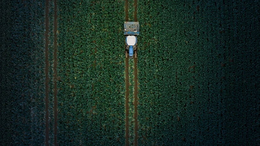 TMO raporu: Hububatta üretim ve verim artışında yağışlar belirleyici olacak