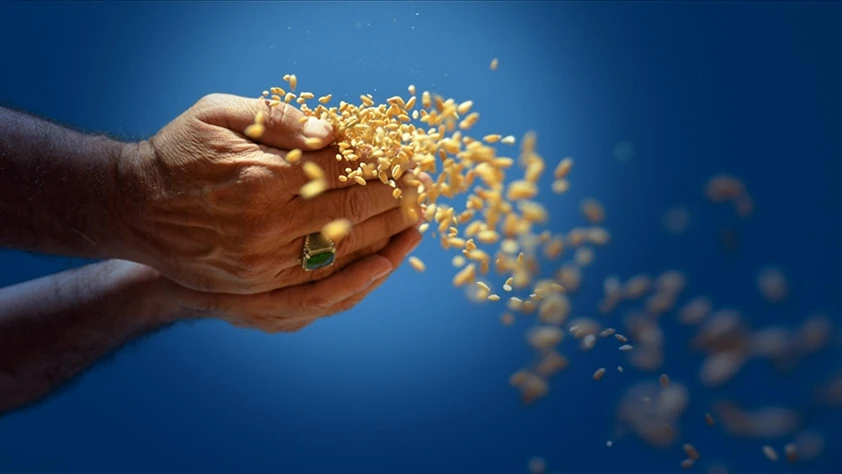 TMO’nun 2026 hedefi açıklandı! 3,5 milyon ton buğday, 1,5 milyon ton mısır