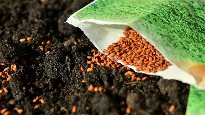 Tohum sektöründe rekabet soruşturması genişletildi