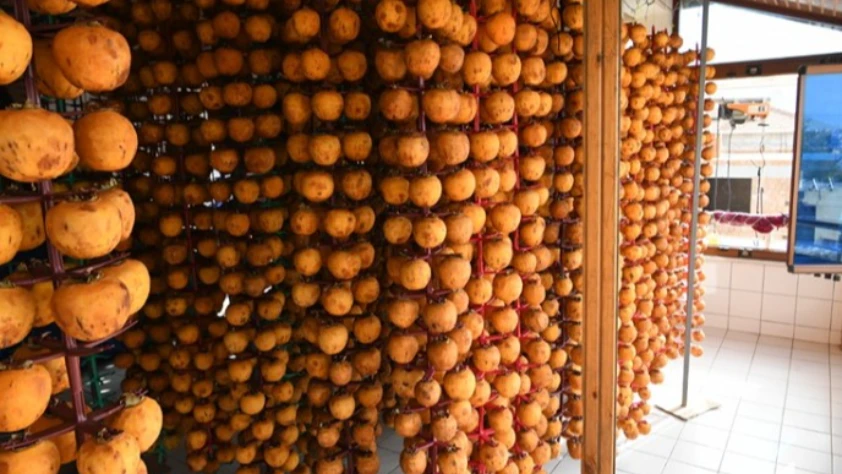 Trabzon hurmasını kendi geliştirdiği makineyle kurutarak kazancını ikiye katladı