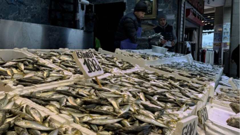 Trabzon’da balık tezgahlarında ilgi istavrite kaydı: Hamsi 100 liradan satılıyor