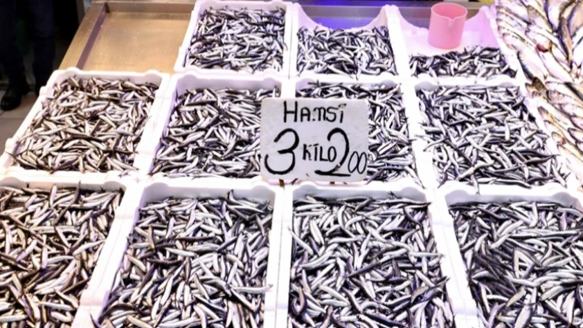 Trabzon’da hamsi bereketi: Tezgahlarda kilogram fiyatı 75 lira