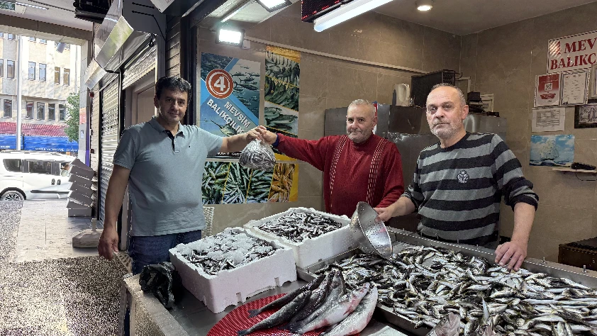 Trabzon'da hamsi değil, istavrit ilgi görüyor