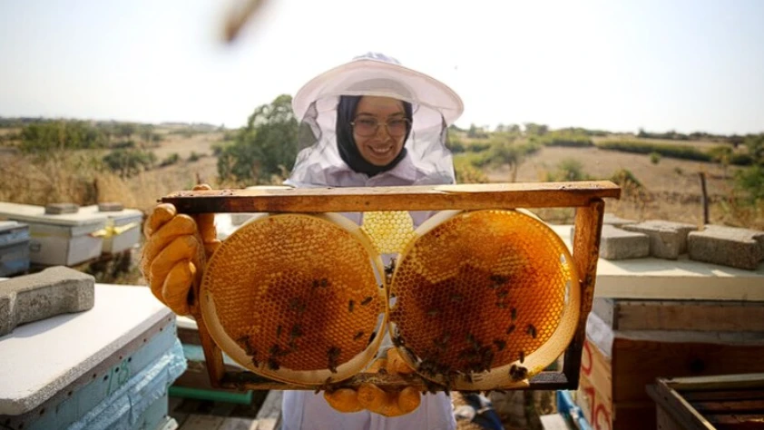 Türk balı 31 ülkeye ulaştı: İlk çeyrekte 9,2 milyon dolar gelir