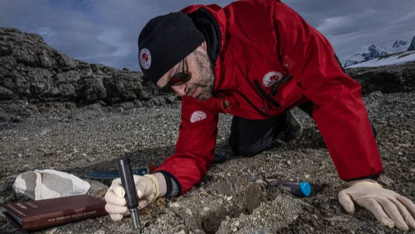 Türk bilim insanları Antarktika'daki araştırmalarıyla sağlık ve tarıma ışık tutuyor